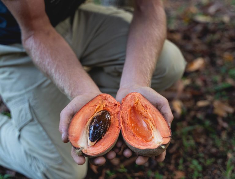 Blue Dragon Tavern & Cosmic Musiquarium - Live Music Big Island Hawaii